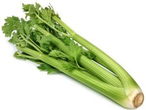 sedano ortaggi bianchi