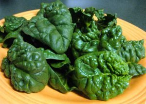 spinaci-ortaggi-verdi