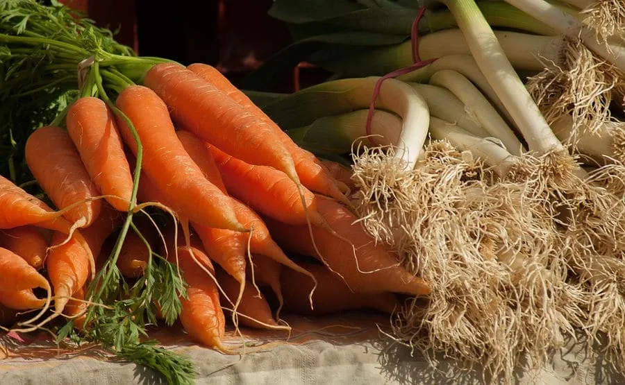 verdure giallo arancio