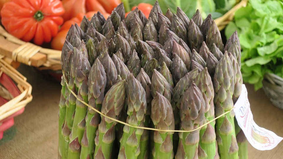 asparagi coltivabili