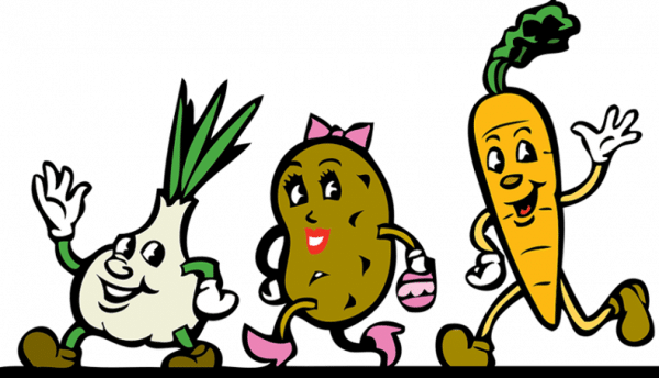 ortaggi invernali e di stagione